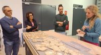 Murales romanos en Vila Joiosa: investigación universitaria – La Voz del Altiplano