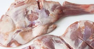 compró un cordero y recibió un perro – La Voz del Altiplano