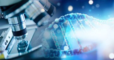 Innovación farmacéutica y su papel en enfermedades raras – La Voz del Altiplano