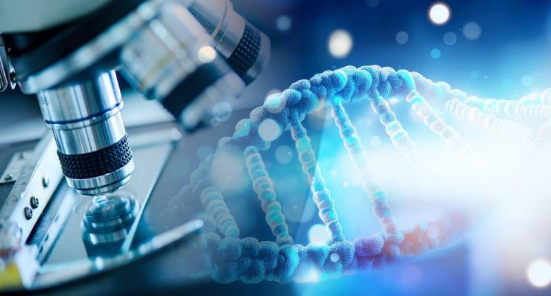 Innovación farmacéutica y su papel en enfermedades raras – La Voz del Altiplano