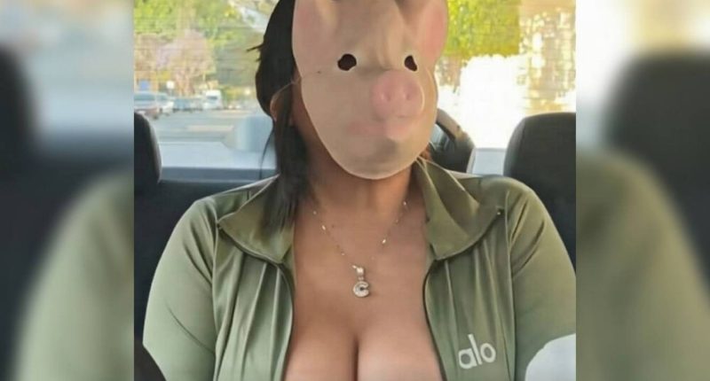 Therian Cerdita se niega a pagar viaje en Uber – La Voz del Altiplano