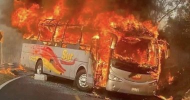 Alerta de seguridad de Estados Unidos en 5 estados de México – La Voz del Altiplano