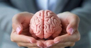 Claves para mantener el cerebro joven según científicos – La Voz del Altiplano