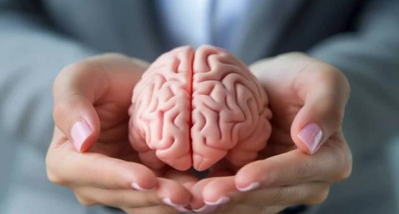 Claves para mantener el cerebro joven según científicos – La Voz del Altiplano