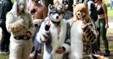 Reunión Therian en Quito se reprograma – La Voz del Altiplano