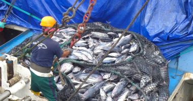 Ecuador busca levantar «tarjeta amarilla» de la UE en 2026 – La Voz del Altiplano