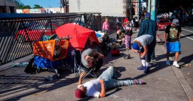 producción, efectos y riesgos en América Latina – La Voz del Altiplano