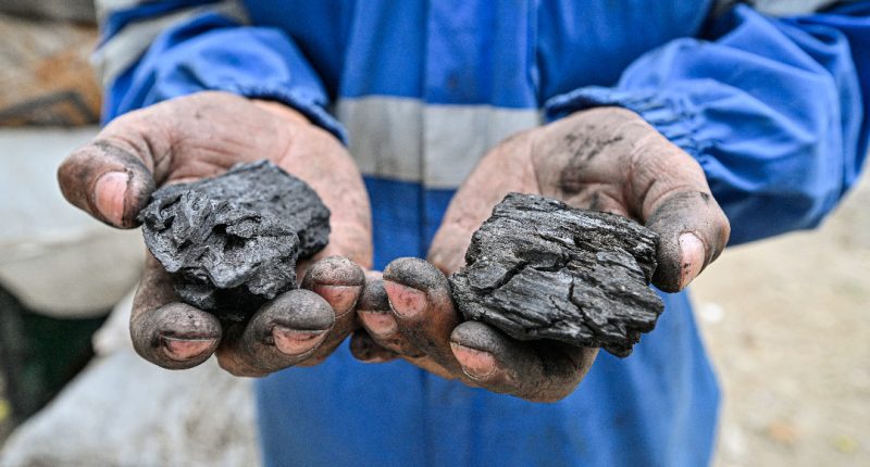 En Cuba, carbón y paneles solares para sobrellevar la crisis energética – La Voz del Altiplano