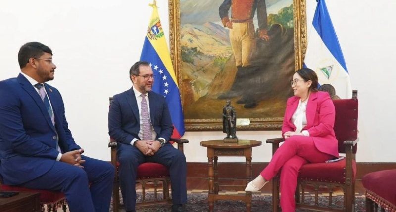 Chavismo recibe cartas credenciales de nueva embajadora de Nicaragua – La Voz del Altiplano