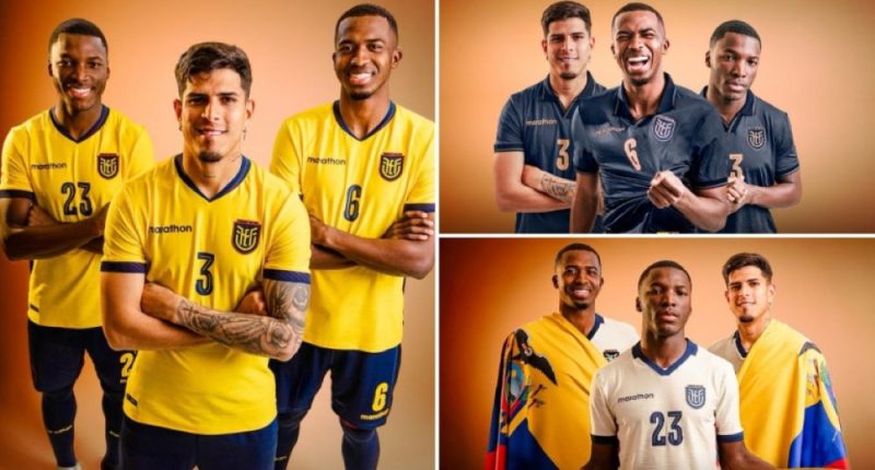 Nueva piel Tricolor mundialista  – El Heraldo – La Voz del Altiplano
