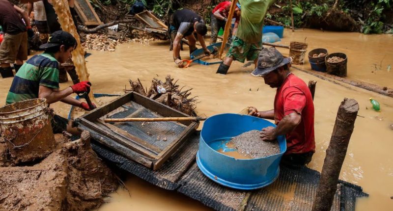 Ministro dice que mineras chinas en Nicaragua compran oro extraído ilegalmente en Costa Rica – La Voz del Altiplano