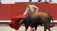 Orejas e indulto en primera corrida taurina  – La Voz del Altiplano