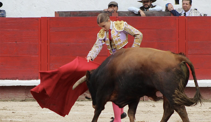Orejas e indulto en primera corrida taurina  – La Voz del Altiplano