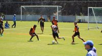 Celestes recuperan jugadores – El Heraldo – La Voz del Altiplano