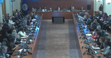 Qué dice la última resolución de la OEA sobre Nicaragua – La Voz del Altiplano