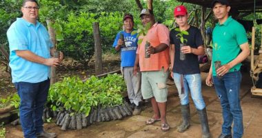 Régimen designa a Jeovani Álvarez Cubillo como viceministro agropecuario – La Voz del Altiplano