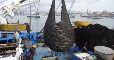 Portoviejo registra menor crecimiento económico que otras ciudades intermedias – La Voz del Altiplano