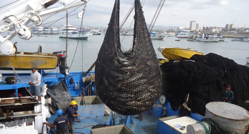 Portoviejo registra menor crecimiento económico que otras ciudades intermedias – La Voz del Altiplano