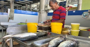 Albacora y picudo dominan la venta de pescado ante la ausencia de especies pequeñas – La Voz del Altiplano