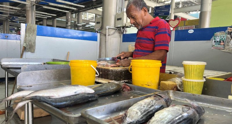 Albacora y picudo dominan la venta de pescado ante la ausencia de especies pequeñas – La Voz del Altiplano