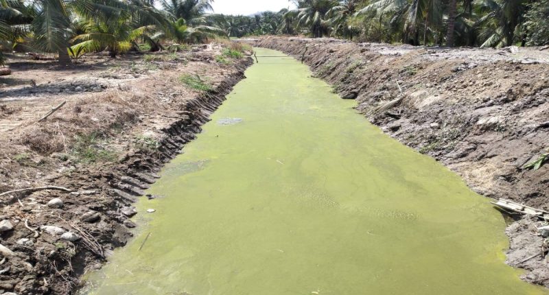 Portoviejo detiene millonaria obra del plan Triple AAA – La Voz del Altiplano