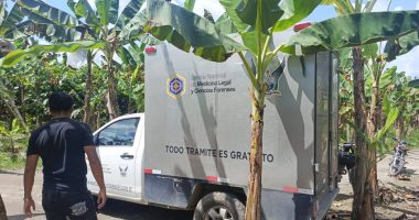 hallan el cuerpo de un joven en una plantación de plátano en el sitio La Medianía – La Voz del Altiplano