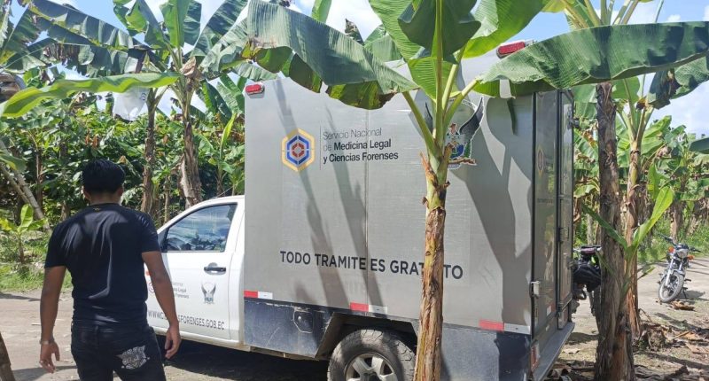 hallan el cuerpo de un joven en una plantación de plátano en el sitio La Medianía – La Voz del Altiplano