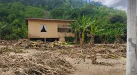 Creciente Arrasa Viviendas en Río Santo – La Voz del Altiplano