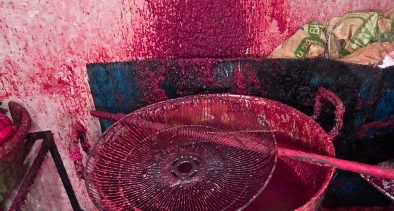 Clausuran panificadora en Guayaquil por falta de permisos – La Voz del Altiplano