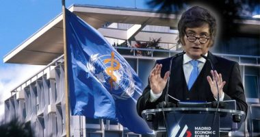 Argentina hace oficial su retiro de la OMS – La Voz del Altiplano