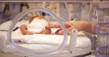 Dos Víctimas tras Accidente en San Mateo – La Voz del Altiplano