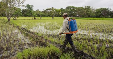 ¿Volverá la ayuda de $ 1.000? – La Voz del Altiplano