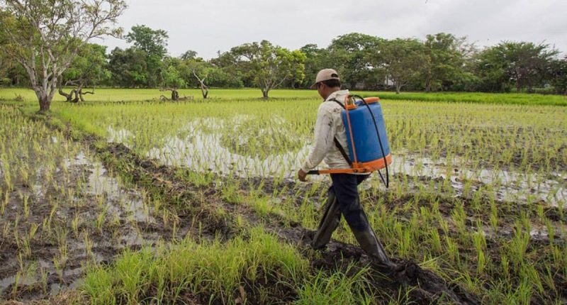 ¿Volverá la ayuda de $ 1.000? – La Voz del Altiplano