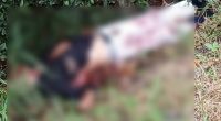 Hallaron hombre sin vida en la vía Olmedo-Santa Ana – La Voz del Altiplano