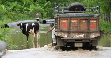 ¿Habrá ayuda financiera para afectados? – La Voz del Altiplano