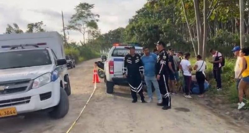 Mujer fallece en accidente de tránsito en La Concordia – La Voz del Altiplano