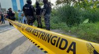 Santo Domingo de los Tsáchilas, provincia clave para bandas – La Voz del Altiplano