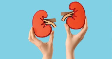 5 hábitos que dañan la función renal – La Voz del Altiplano