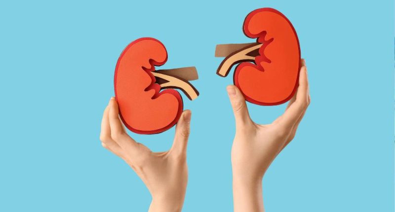 5 hábitos que dañan la función renal – La Voz del Altiplano