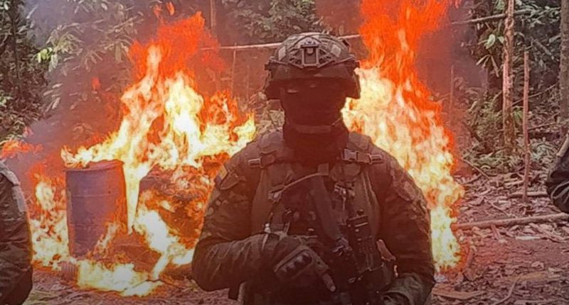 Militares desmantelan 51 campamentos de minería ilegal – La Voz del Altiplano