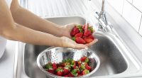 Cómo Lavar Correctamente las Fresas: Evita Errores Comunes – La Voz del Altiplano
