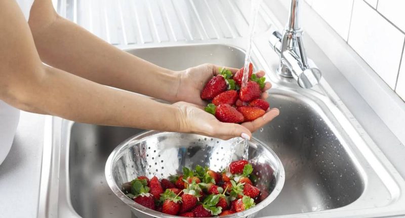 Cómo Lavar Correctamente las Fresas: Evita Errores Comunes – La Voz del Altiplano