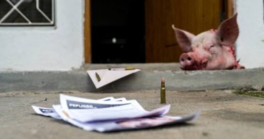 Juez de Manta amenazado con panfleto, balas y cerdo – La Voz del Altiplano