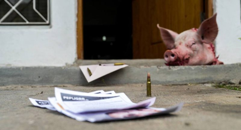 Juez de Manta amenazado con panfleto, balas y cerdo – La Voz del Altiplano