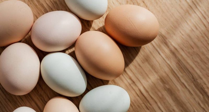 ¿Es seguro lavar los huevos antes de guardarlos? – La Voz del Altiplano
