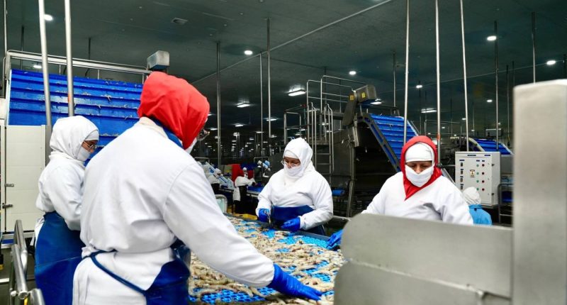 Guía del nuevo acuerdo en Ecuador – La Voz del Altiplano