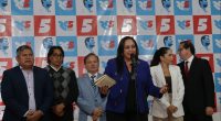 Juez del TCE desestima nulidad de la Revolución Ciudadana – La Voz del Altiplano