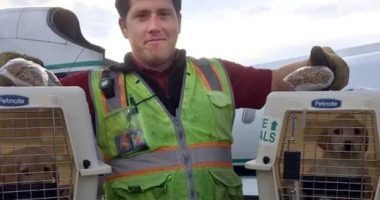 Héroe o Villano en el Robo de un avión – La Voz del Altiplano