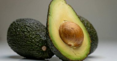 ¿Es el aguacate realmente tan saludable? – La Voz del Altiplano