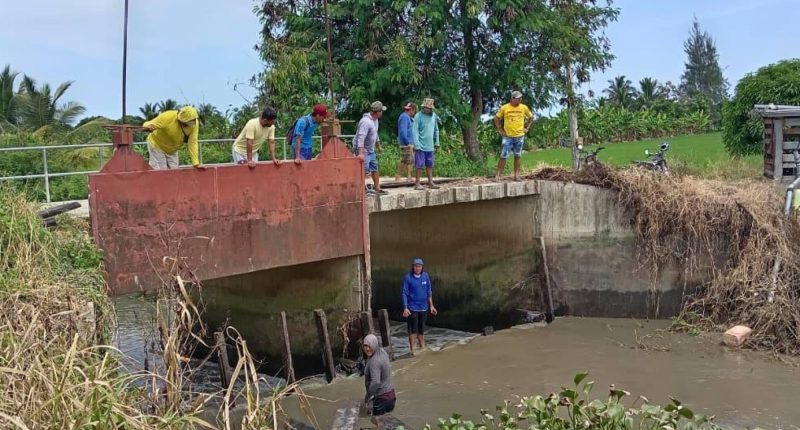 Agricultores temen perder cultivos por falta de represa – La Voz del Altiplano